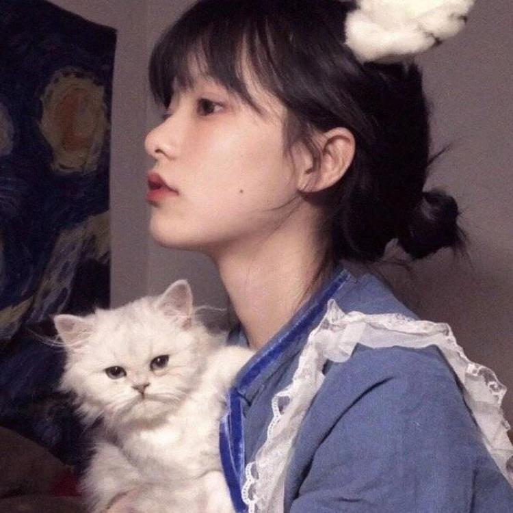 神谷道场（神谷熏主持的道场、剑心寄宿处） - 动漫新番免费在线观看 - 手机追剧